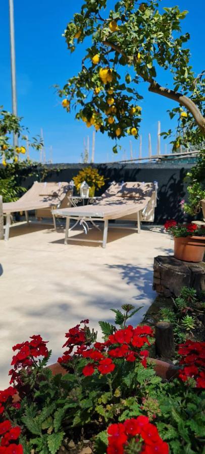 Rita Bed and breakfast